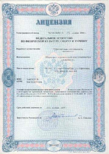 2009 г Лицензия на турагентскую деятельность №009217